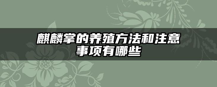 麒麟掌的养殖方法和注意事项有哪些