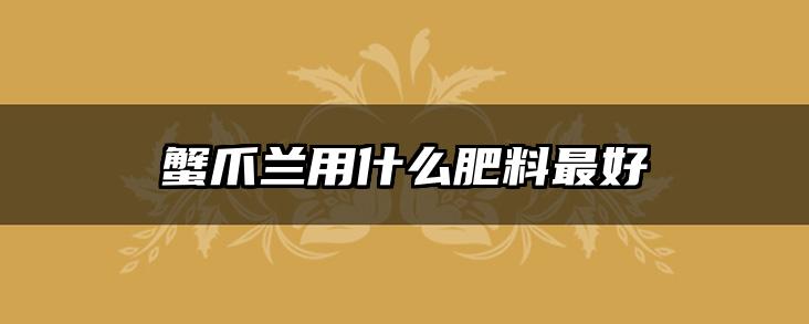 蟹爪兰用什么肥料最好
