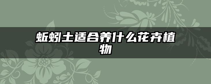 蚯蚓土适合养什么花卉植物