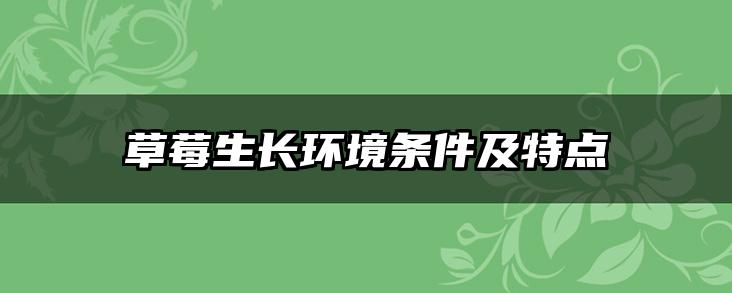 草莓生长环境条件及特点