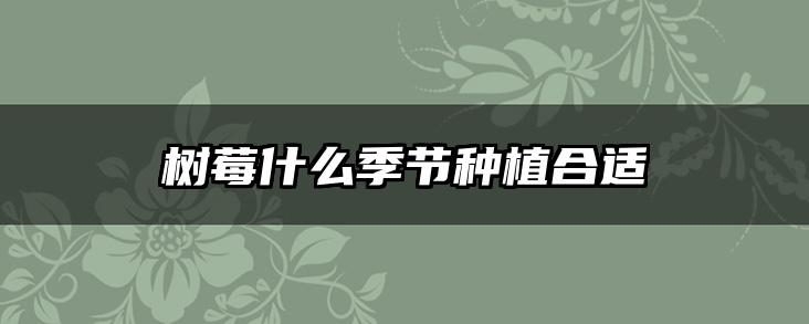 树莓什么季节种植合适