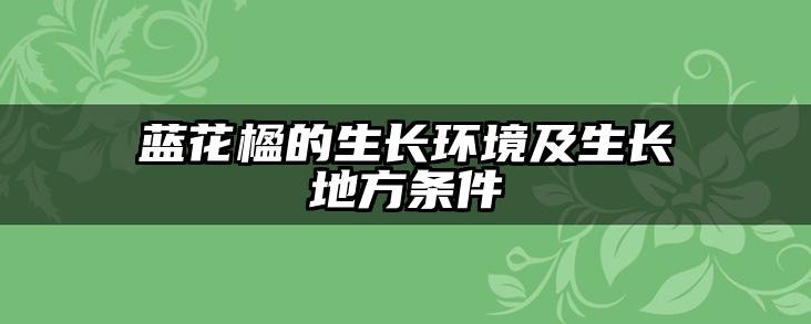 蓝花楹的生长环境及生长地方条件