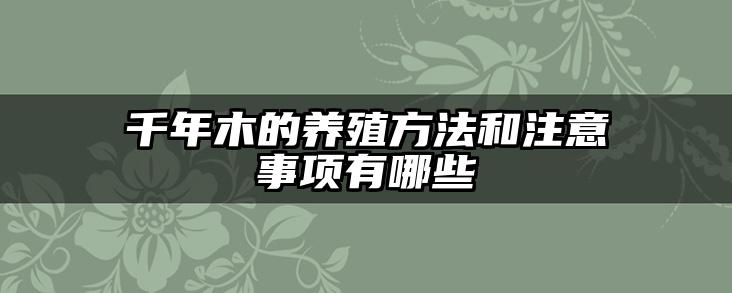千年木的养殖方法和注意事项有哪些