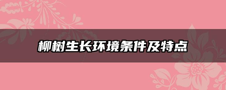 柳树生长环境条件及特点