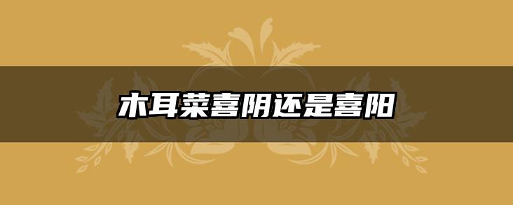 木耳菜喜阴还是喜阳