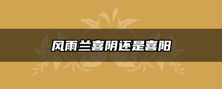 风雨兰喜阴还是喜阳