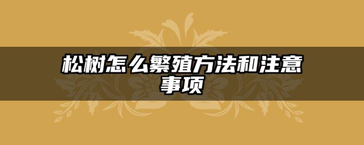 松树怎么繁殖方法和注意事项