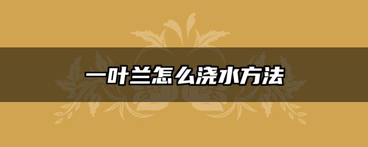 一叶兰怎么浇水方法