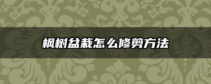 枫树盆栽怎么修剪方法