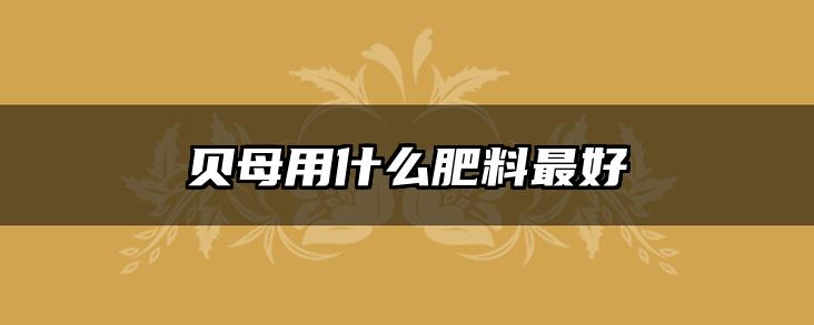 贝母用什么肥料最好