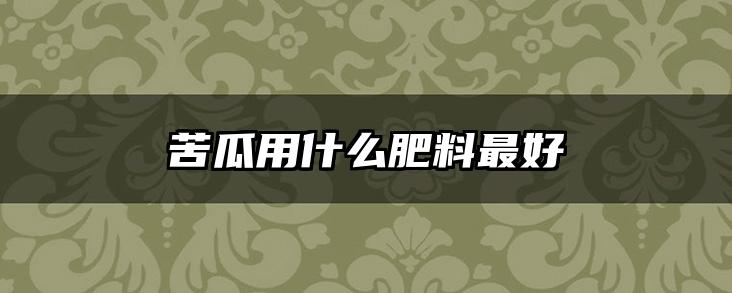 苦瓜用什么肥料最好