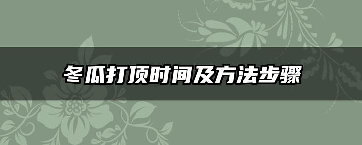 冬瓜打顶时间及方法步骤