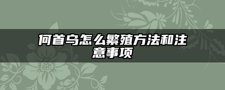 何首乌怎么繁殖方法和注意事项
