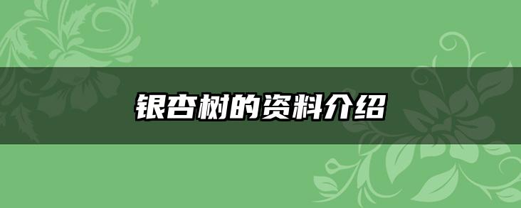 银杏树的资料介绍