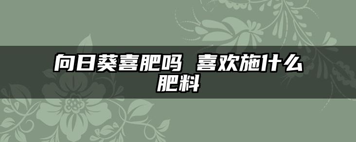 向日葵喜肥吗 喜欢施什么肥料