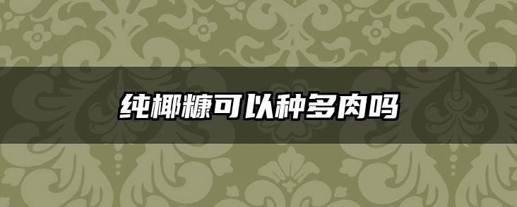 纯椰糠可以种多肉吗