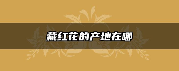 藏红花的产地在哪