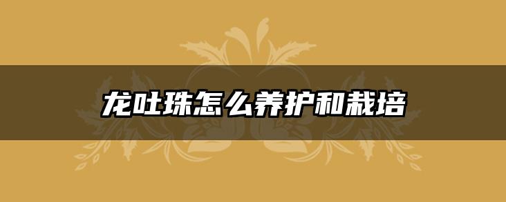 龙吐珠怎么养护和栽培