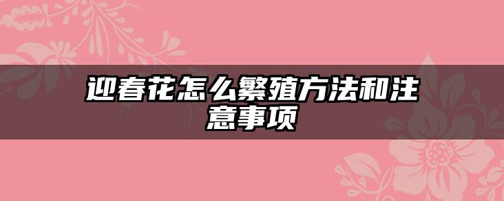 迎春花怎么繁殖方法和注意事项