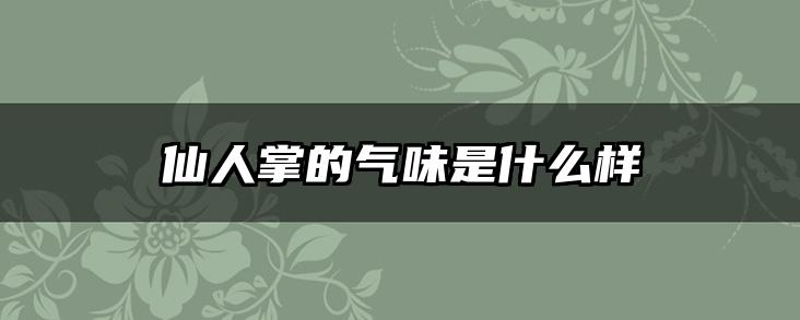 仙人掌的气味是什么样