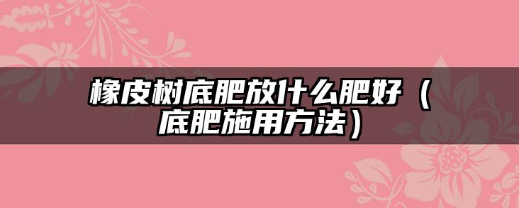 橡皮树底肥放什么肥好(底肥施用方法)