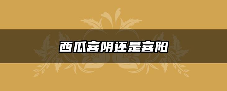 西瓜喜阴还是喜阳