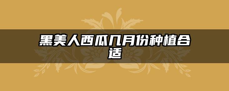 黑美人西瓜几月份种植合适