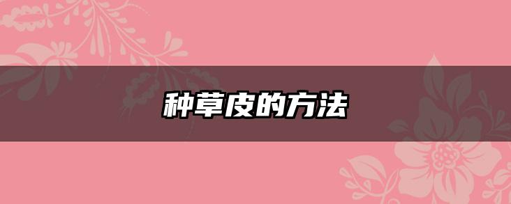 种草皮的方法