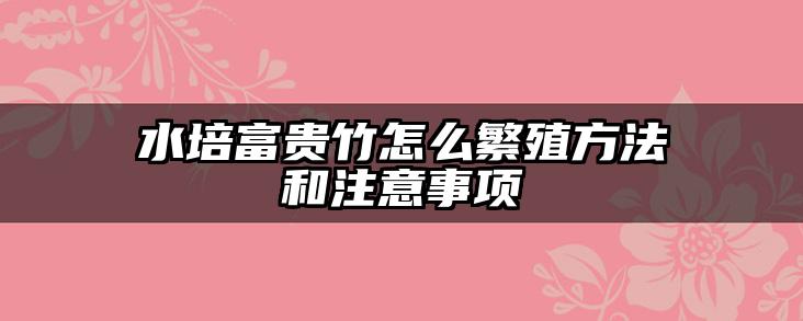 水培富贵竹怎么繁殖方法和注意事项