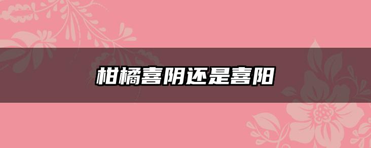 柑橘喜阴还是喜阳