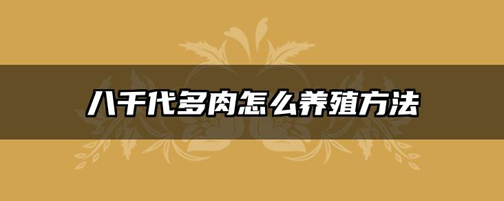 八千代多肉怎么养殖方法