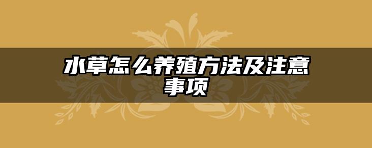 水草怎么养殖方法及注意事项