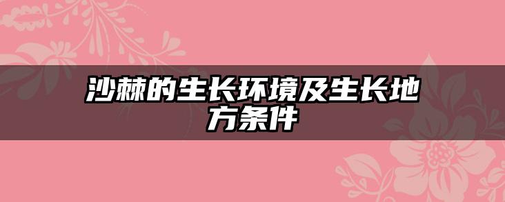 沙棘的生长环境及生长地方条件