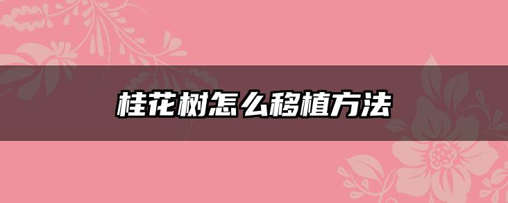 桂花树怎么移植方法