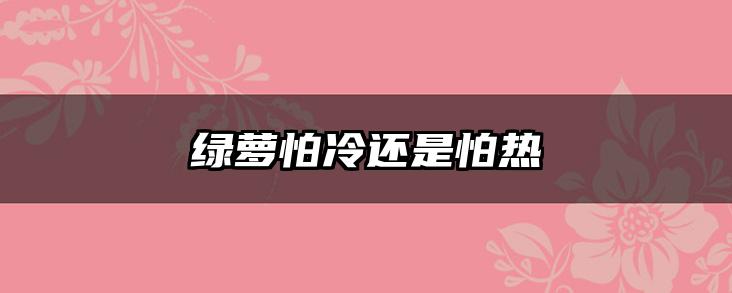 绿萝怕冷还是怕热