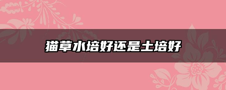 猫草水培好还是土培好
