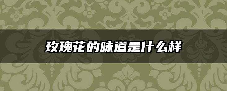 玫瑰花的味道是什么样