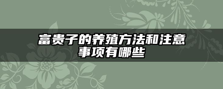 富贵子的养殖方法和注意事项有哪些