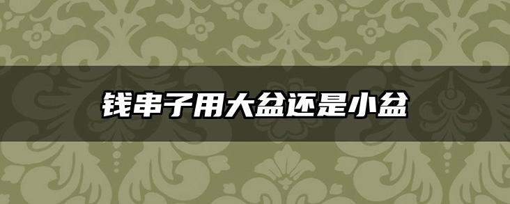 钱串子用大盆还是小盆