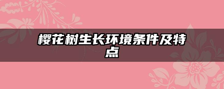 樱花树生长环境条件及特点