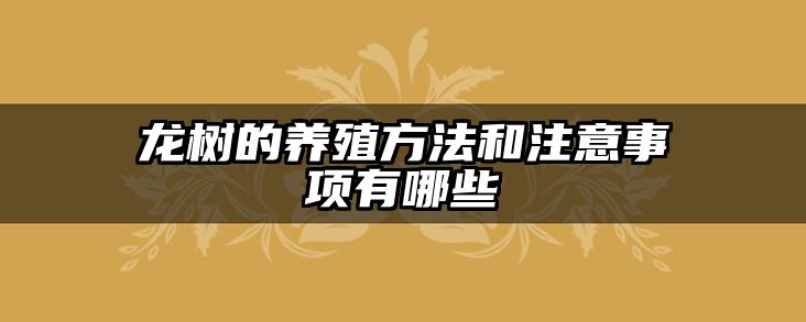 龙树的养殖方法和注意事项有哪些