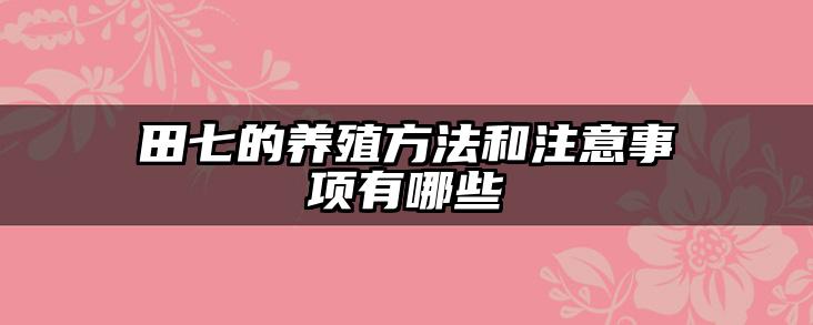 田七的养殖方法和注意事项有哪些