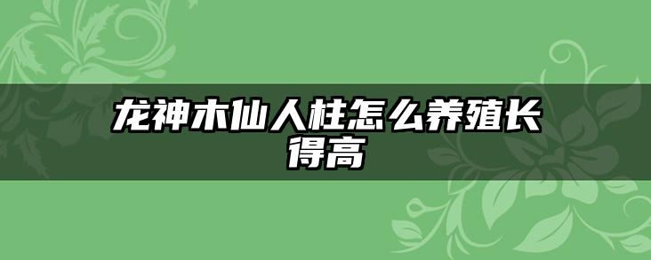 龙神木仙人柱怎么养殖长得高
