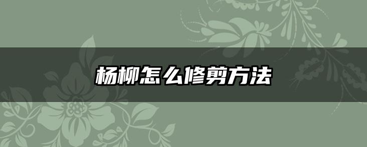 杨柳怎么修剪方法
