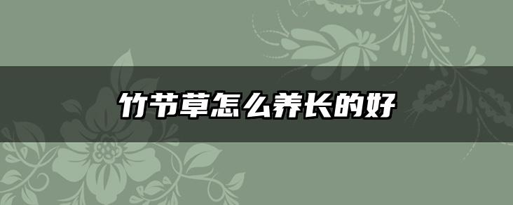 竹节草怎么养长的好
