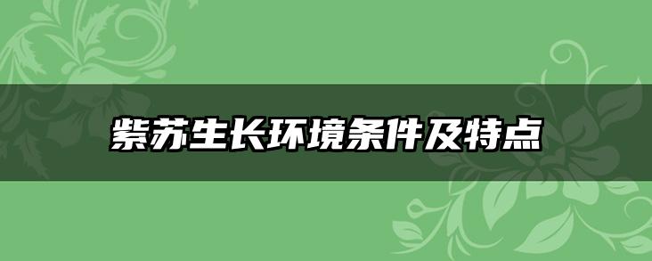 紫苏生长环境条件及特点