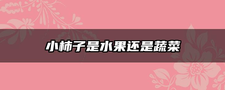 小柿子是水果还是蔬菜