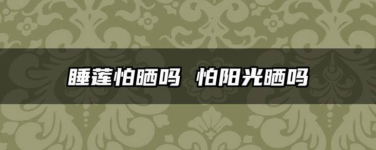 睡莲怕晒吗 怕阳光晒吗