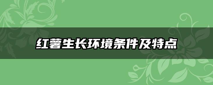 红薯生长环境条件及特点