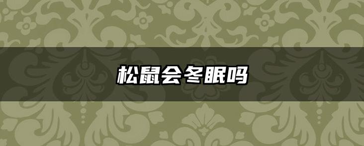 松鼠会冬眠吗
